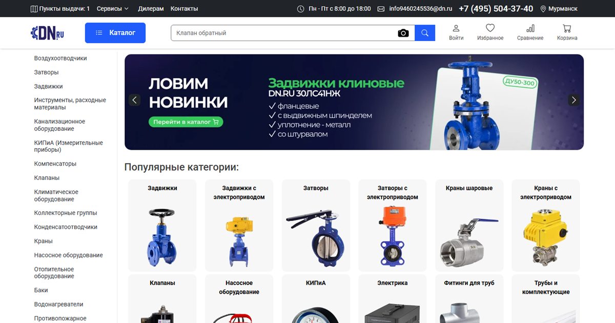 Сайт dn.ru